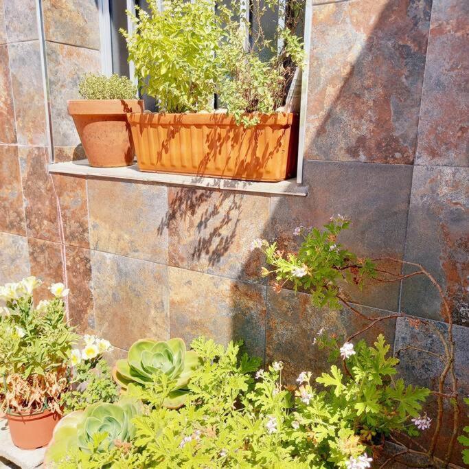 Rias Bajas Apartamento Con Jardin Apartman Villanueva De Arosa Kültér fotó